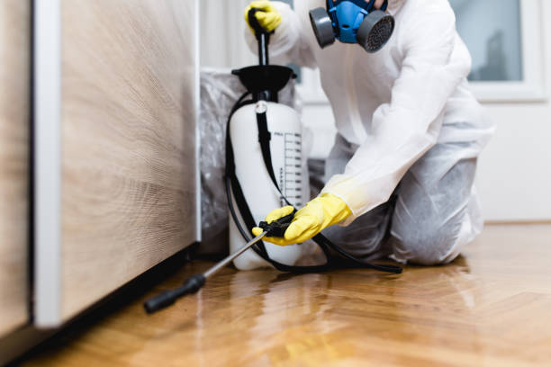 Best Termite Control Services  in Kyle, SD