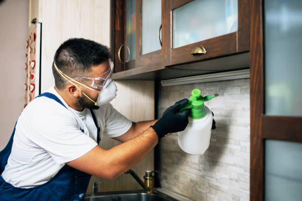 Best Wildlife Control Services  in Kyle, SD