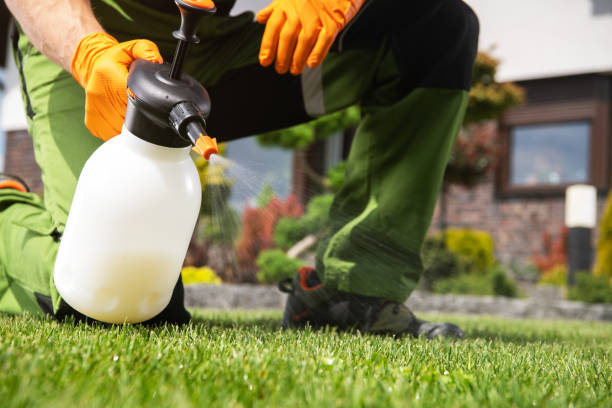 Best Bed Bug Extermination  in Kyle, SD