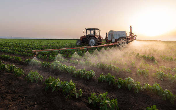 Best Ant Control Services  in Kyle, SD