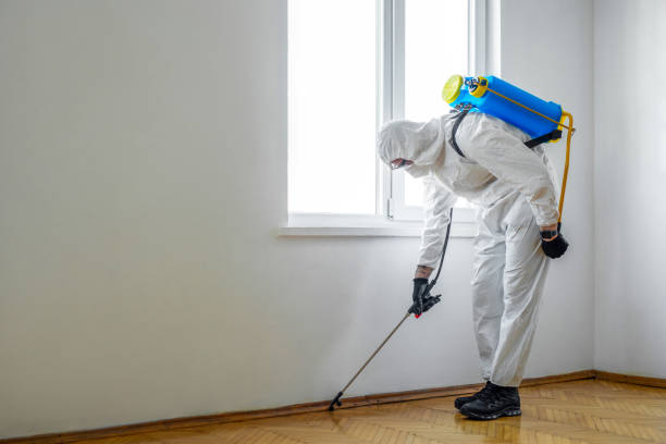 Best Best Pest Control Companies  in Kyle, SD